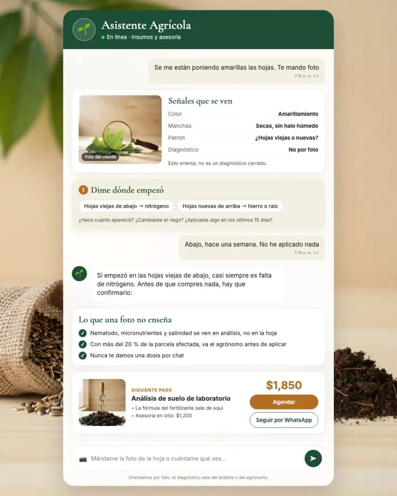 Asistente de IA para insumos y asesoría agrícola
