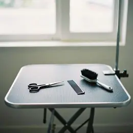 Baño y corte raza mediana