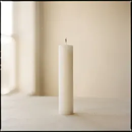 Orientación y acompañamiento